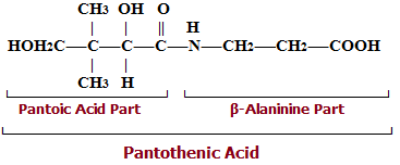 Vitamin B5 (Pantothenic Acid) - Occurrence, Biochemical ...