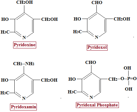 Vitamin B6 Pyridoxine Occurrence Biochemical Role